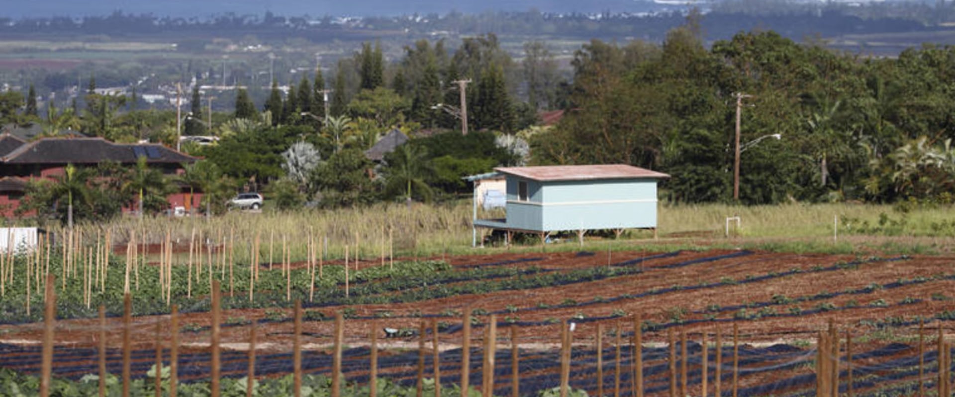 Average Rainfall on Oahu Farmlands: A Comprehensive Guide