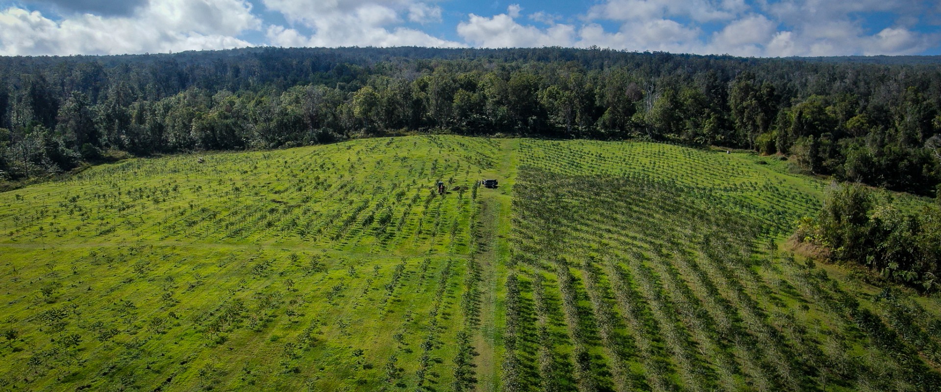 Revolutionizing Agriculture on Oahu: How Technology is Transforming Farms