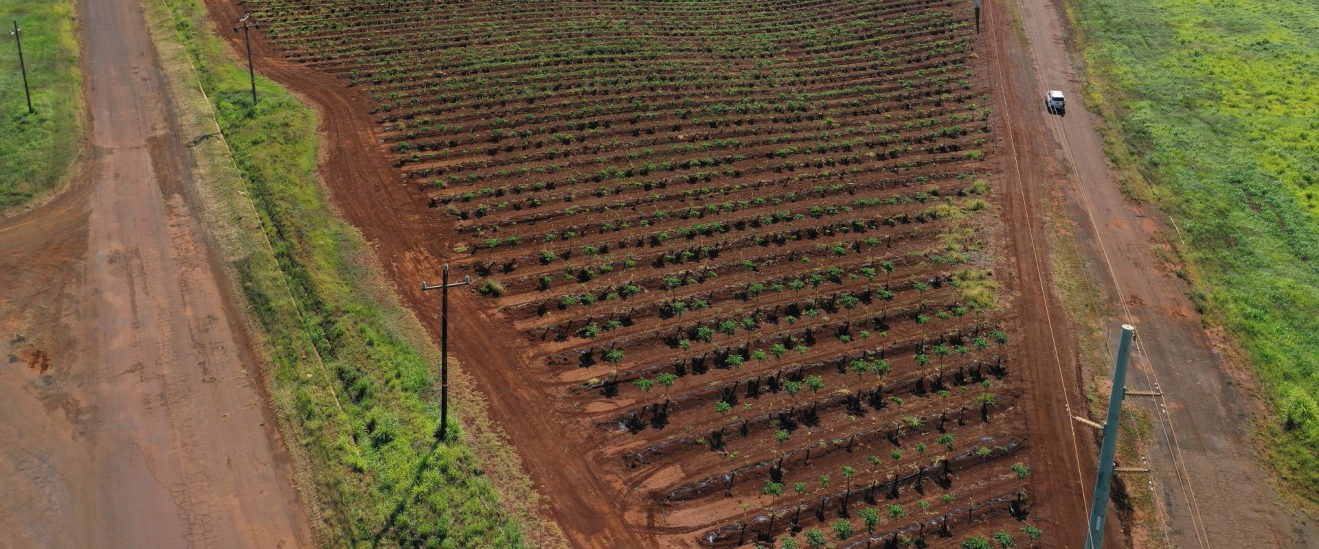The Impact of Trade Agreements on Oahu's Agricultural Production: An Expert's Perspective